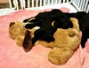 nap3