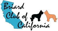BCC logo